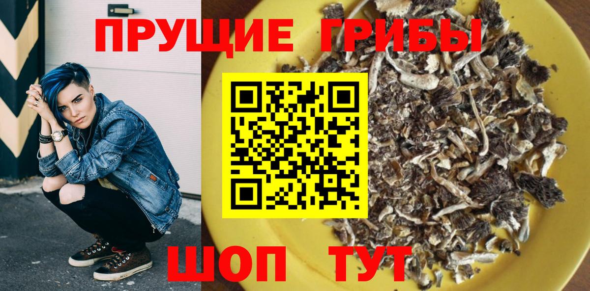 Сертолово  Галлюциногенные грибы Psilocybe  Галлюциногенные грибы прущие грибы  Вход с VPN 